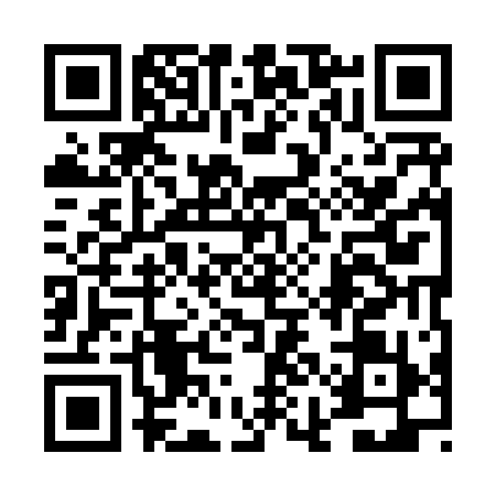 QR code for 4II8199