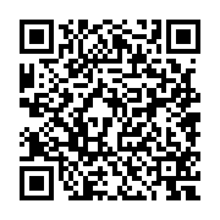 QR code for 4IN1163
