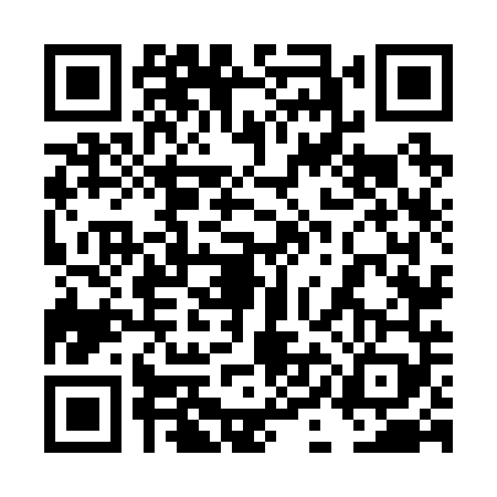 QR code for 4IN2497