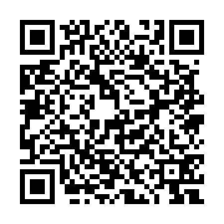 QR code for 4IQ5729