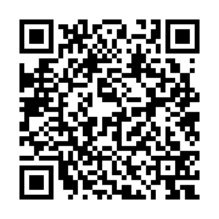 QR code for 4IR3333