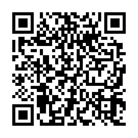 QR code for 4LI3195