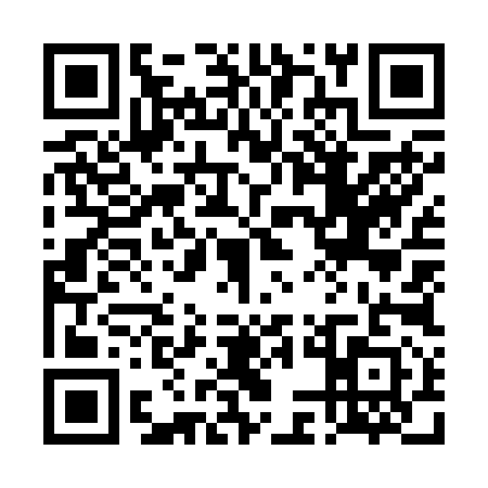 QR code for 4MO2917
