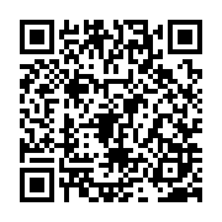 QR code for 4MO3822