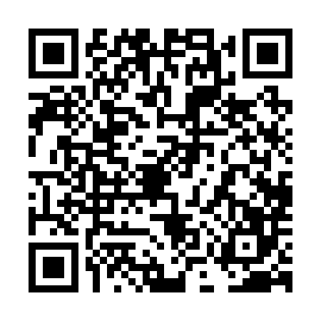 QR code for 4MP2863