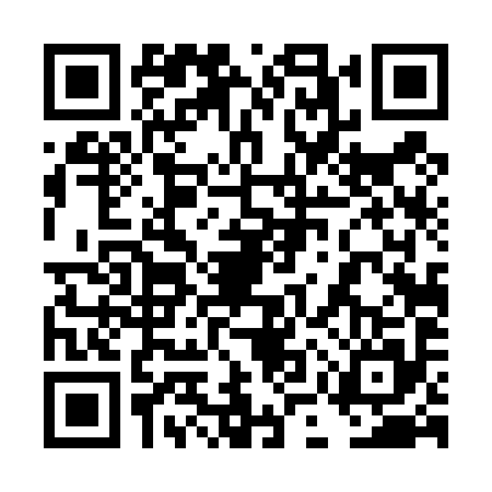 QR code for 4MT4955