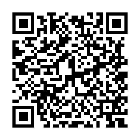 QR code for 4NG8521