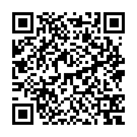 QR code for 4NI3347