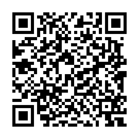 QR code for 4NL4165
