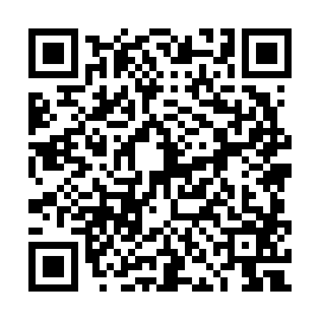 QR code for 4NM6866