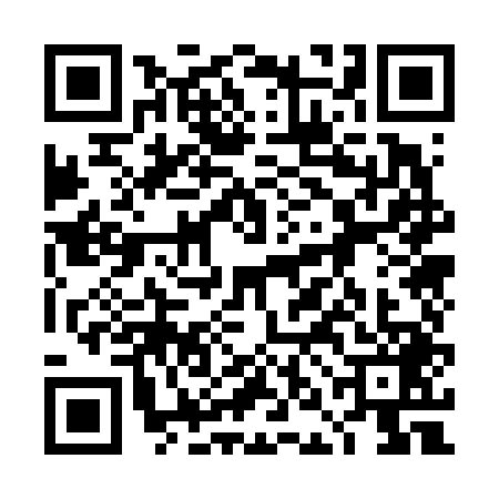 QR code for 4NO6497