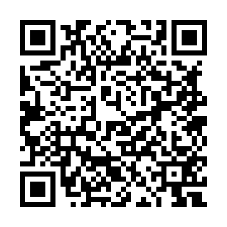 QR code for 4NS8538