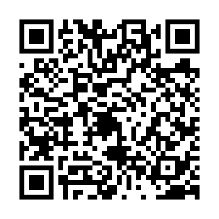 QR code for 4PF6381