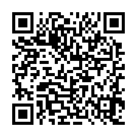 QR code for 4PHS95