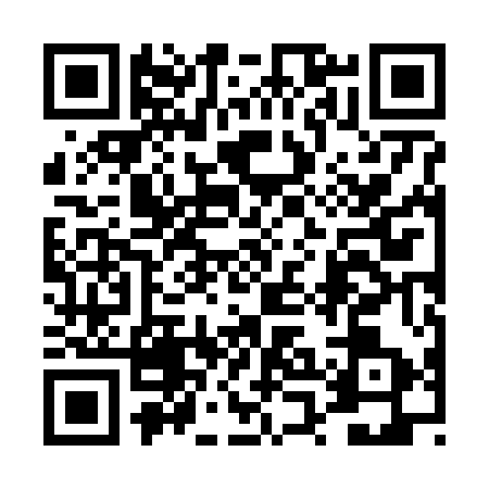 QR code for 4PJ6539