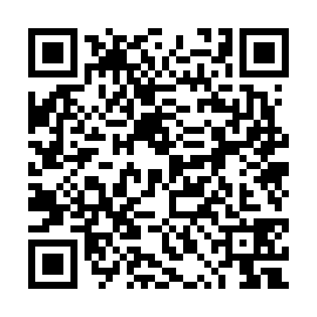 QR code for 4PO6385