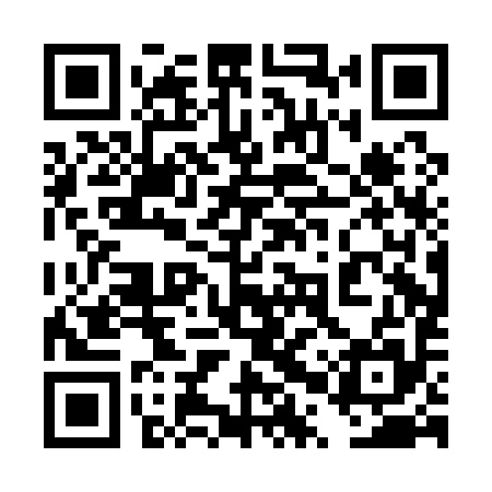 QR code for 4PPA95