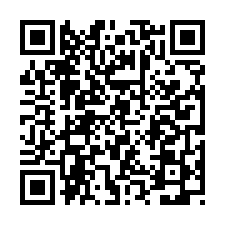 QR code for 4PT5493