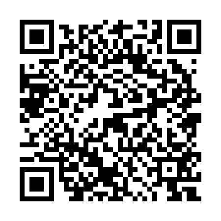 QR code for 4ZH2533