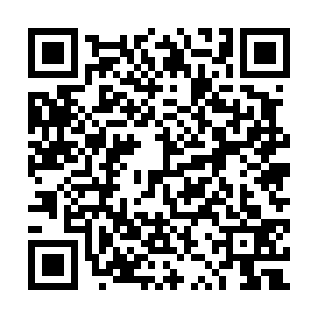 QR code for 4ZU4334