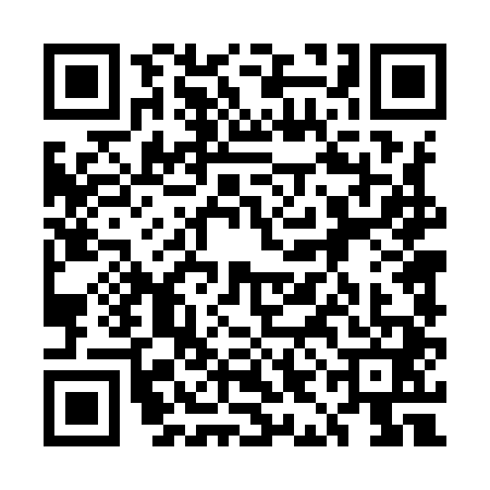 QR code for 5ID9411