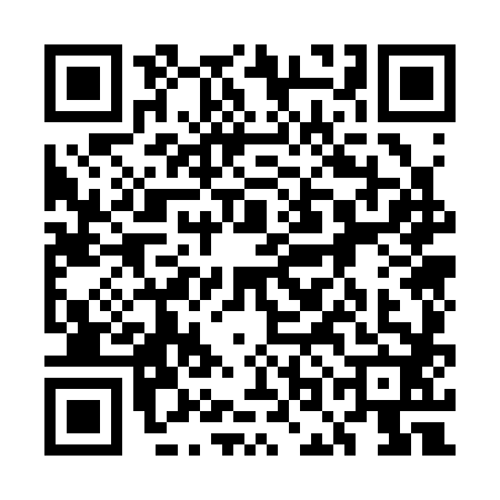 QR code for 5OO3822