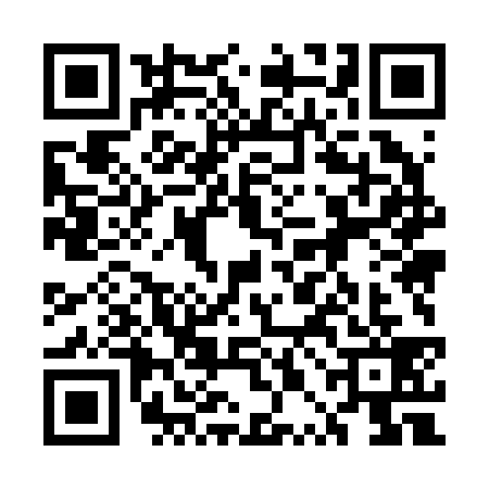 QR code for 5PM2393