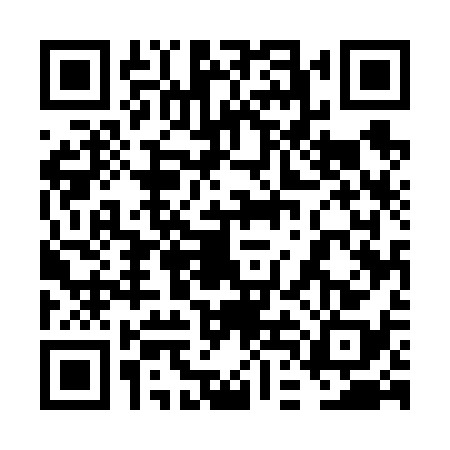 QR code for 6DE6387
