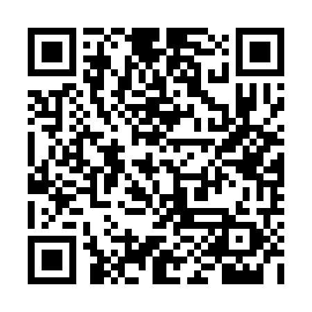 QR code for 6ICC29