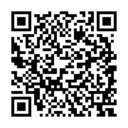 QR code for 6ID6913