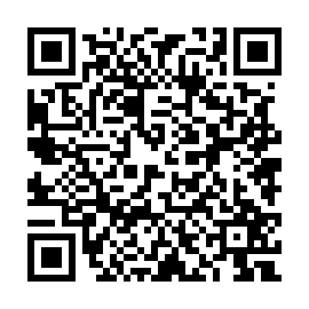 QR code for 6IN5271