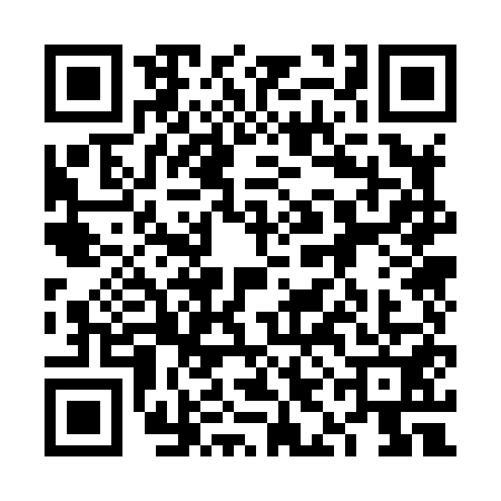 QR code for 6IO8513