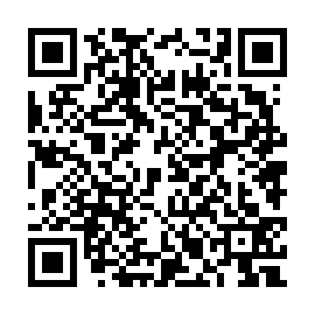 QR code for 6MN6333