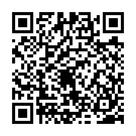 QR code for 6NI6641