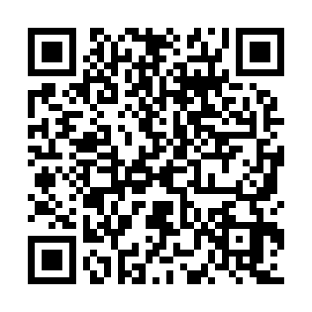 QR code for 6NI9333
