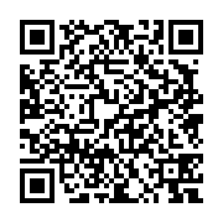 QR code for 6PP4382