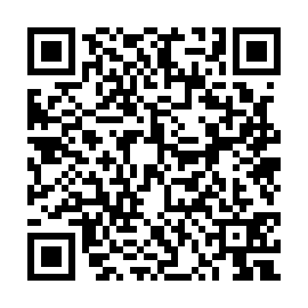 QR code for 6VO1313