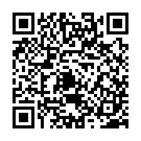 QR code for 6XY3833