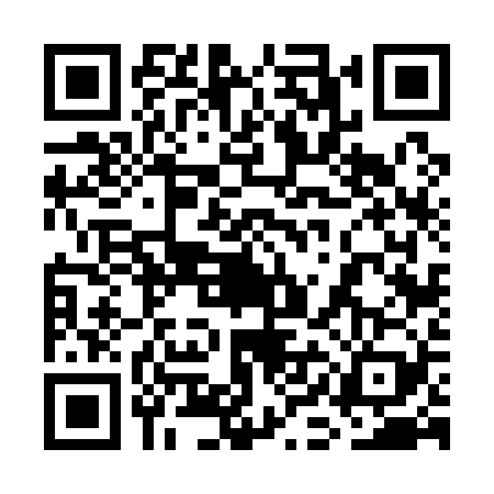 QR code for 7IF1294