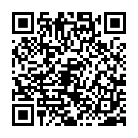 QR code for 8HL9538