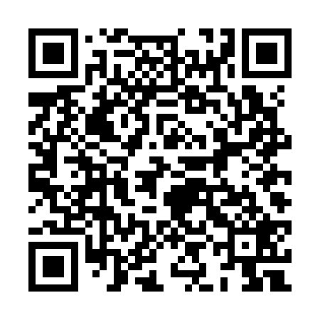QR code for 8IDK29