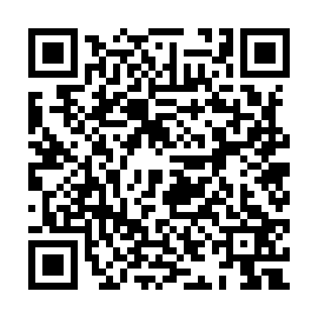 QR code for 8IG9233