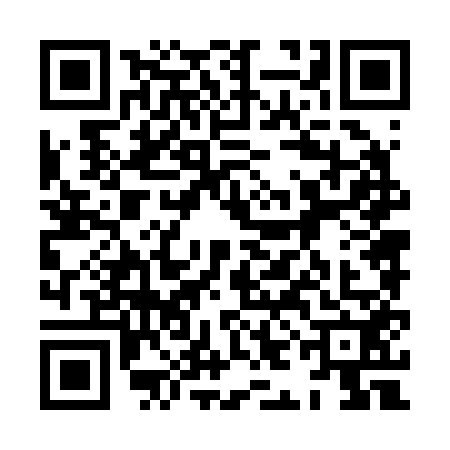 QR code for 8IN2528