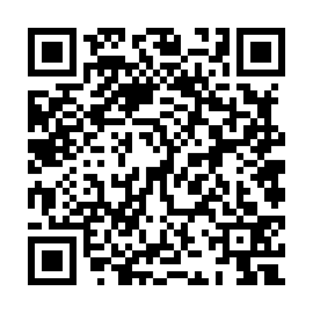 QR code for 8JV8333