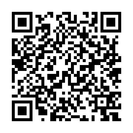 QR code for 8JZ9333