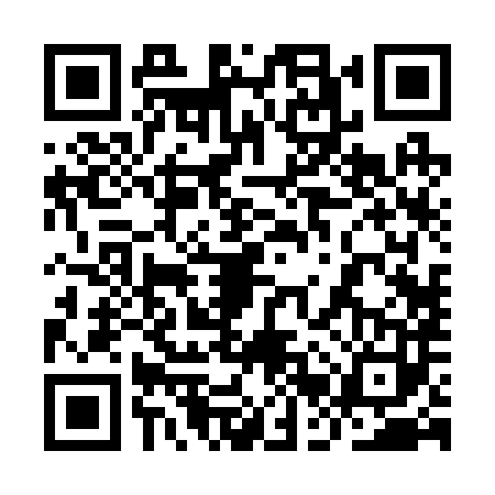 QR code for 9BR2838