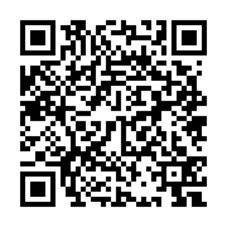 QR code for 9BZ7333