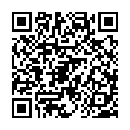 QR code for 9EX3993