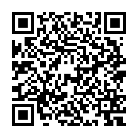 QR code for 9II6653