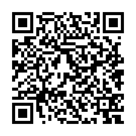 QR code for 9IN1332
